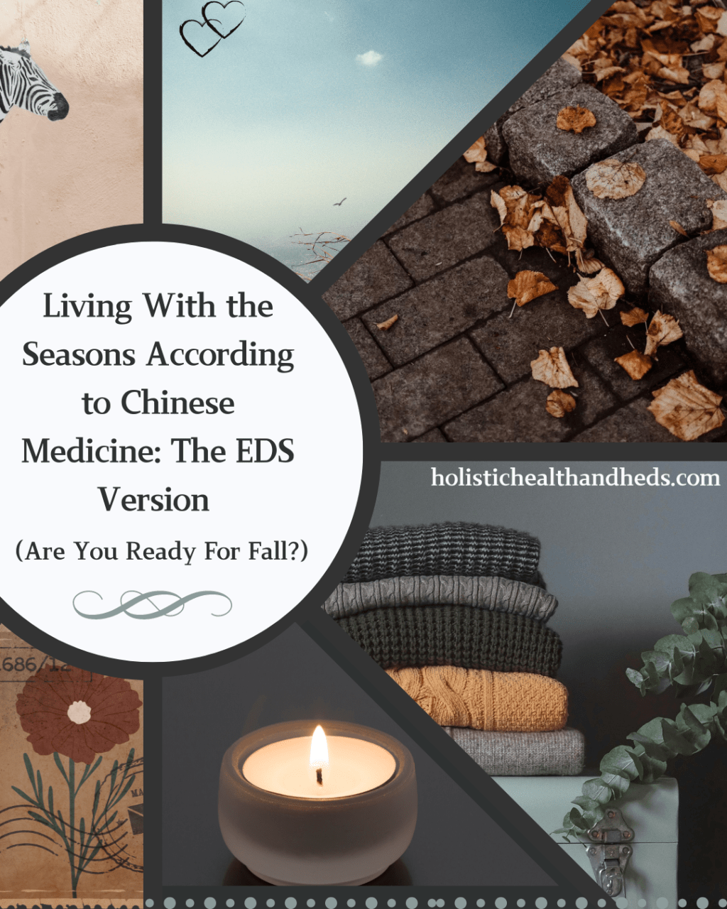 Living With the Seasons According to Chinese Medicine: The EDS Version (Are You Ready For&nbsp;Fall?)