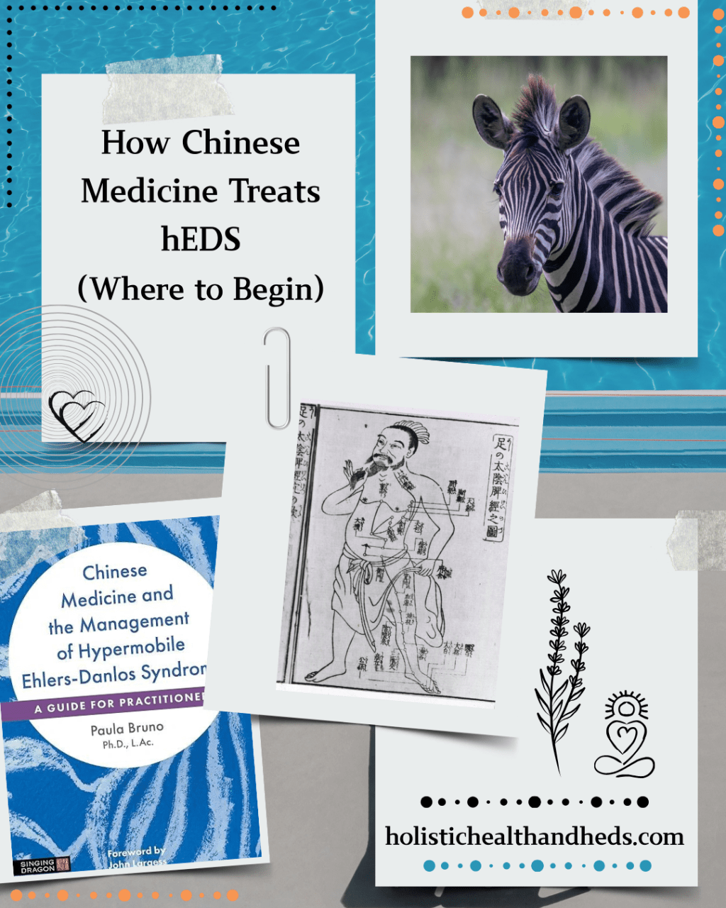How Chinese Medicine Treats hEDS (Where to&nbsp;Begin)