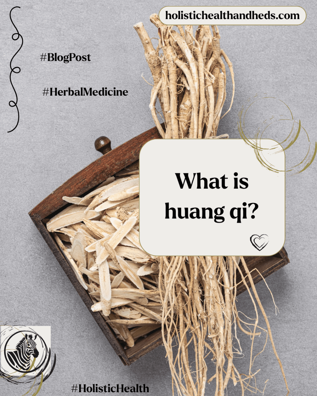 Astragalus for Ehlers Danlos Syndrome and MCAS (Or… What is Huang&nbsp;Qi?)